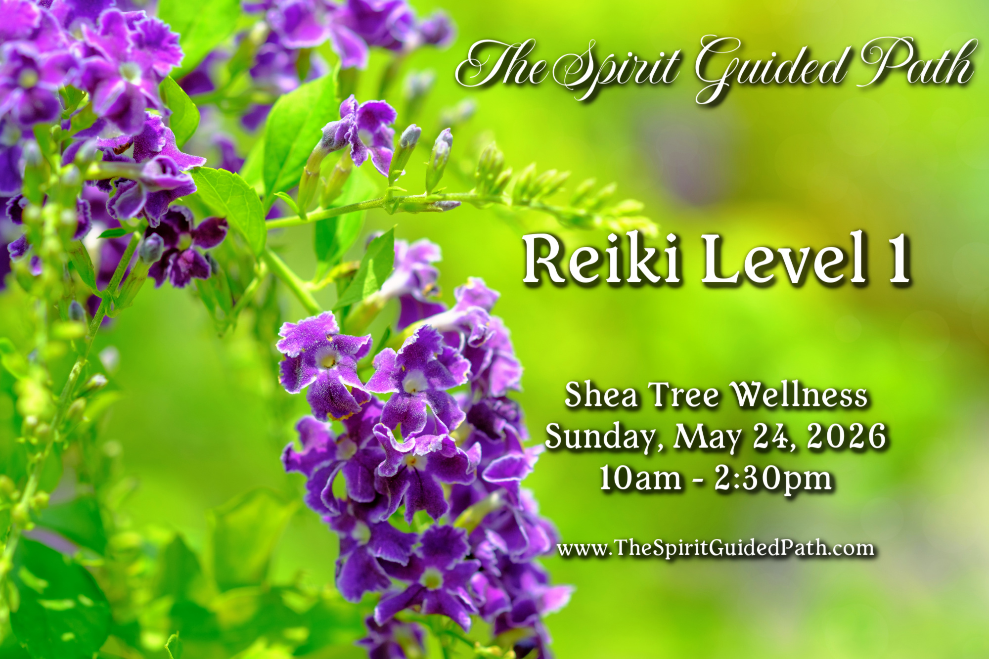Reiki Level 1